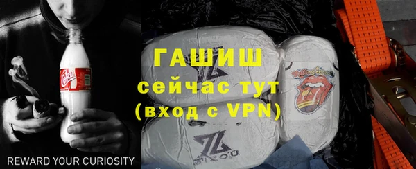 стаф Алзамай
