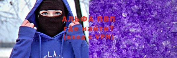 стаф Алзамай