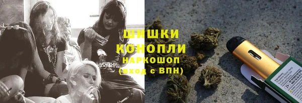 ГАЛЛЮЦИНОГЕННЫЕ ГРИБЫ Алексин