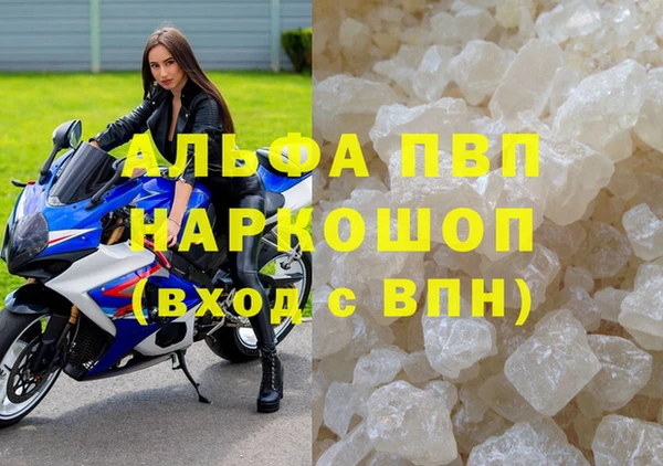 стаф Алзамай