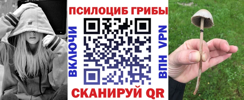 Псилоцибиновые грибы MAGIC MUSHROOMS Северская